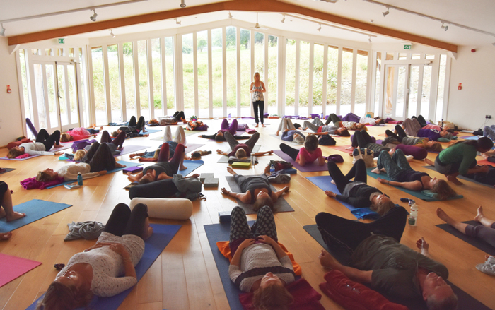  Neurogenic Yoga with Jo Hamilton 
