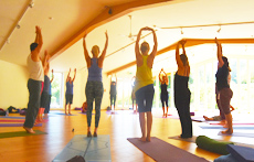 Devon Yoga Festival 2016