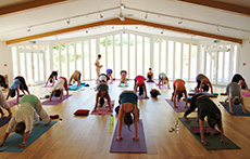 Devon Yoga Festival 2013