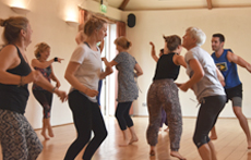 Devon Yoga Festival 2017