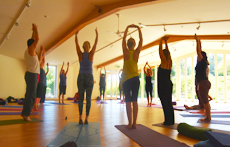 Devon Yoga Festival 2016