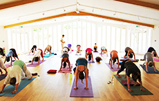 Devon Yoga Festival 2013